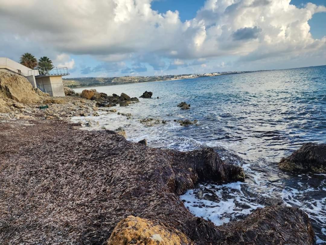Serenity Corner Paphos Eksteriør bilde